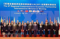 亚太地区各国承诺加快RCEP谈判进程