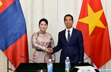 第八次越南-蒙古外交部副部长级政治磋商会议在河内召开