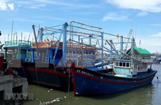 越南政府第67号议定助力渔民靠海谋生