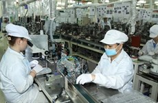 今年前8月胡志明市工业生产指数同比增长7.1% 