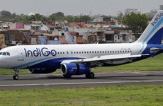 印度靛蓝航空即将开通飞往越南的第二条航线