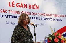 越南是亚洲法语国家国际组织的支柱
