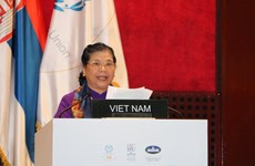 越南国会常务副主席丛氏放在第141届各国会议联盟大会上发表重要讲话