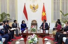 越南国家副主席邓氏玉盛会见印尼总统佐科·维多多