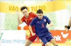 2019年HDBank杯东南亚室内五人制足球锦标赛:泰国队获得冠军