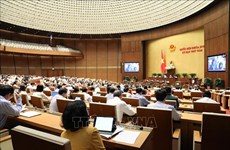 越南第十四届国会第八次会议公报（第九号）