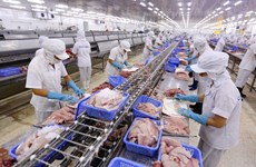 越南具备向美国出口鲶鱼资质  FSIS确认越南鲶鱼监管系统与美国等效