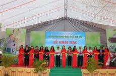 2019年越南国际农业展会开展