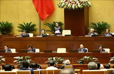越南第十四届国会第八次会议专题询问活动落幕
