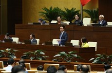 越南第十四届国会第八次会议：政府总理接受询问