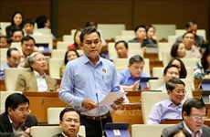 越南第十四届国会第八次会议：政府总理阮春福回答国会代表的询问
