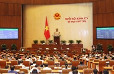 越南第十四届国会第八次会议通过关于2020年经济社会发展计划的决议