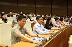 越南第十四届国会第八次会议：通过关于2020年国家财政预算的决议