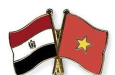 越南强化与埃及的投资合作关系 