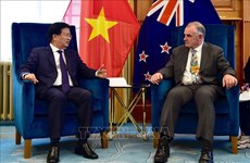 越南和新西兰期待建立战略伙伴关系