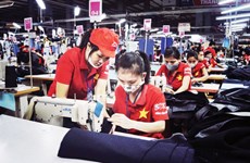 年底胡志明市就业市场呈现出活跃发展态势