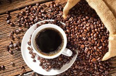越南咖啡出口呈猛降趋势