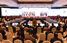 2020年东盟轮值主席年：促进RCEP是越南要集中优先展开的首个问题