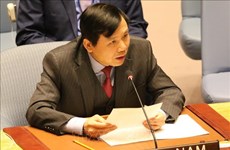 越南为担任联合国安理会非常任理事国职务做好准备
