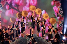 第七届越老中三国边境县抛绣球节将在中国云南江城举行
