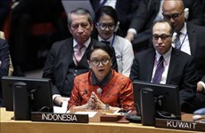 印尼外长：涉及主权问题“没有谈判余地”