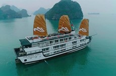 越南天堂集团在下龙湾推出新游轮服务