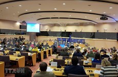 德国媒体：欧洲议会国际贸易委员会为EVFTA开“绿灯”