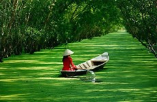 越南九龙江三角洲地区各省努力开发旅游资源   推动旅游业发展