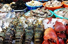 受疫情影响印尼限制从中国进口的活鱼