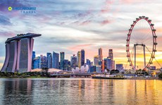新冠肺炎COVID-19 ∶今年到访新加坡游客或将减少25%-30%