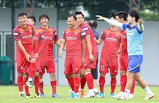 国际足联最新排名：越南国足队继续保持东南亚地区首位
