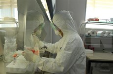 新冠肺炎疫情：越南共有6家单位获准进行新冠病毒检测