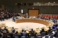 越南与联合国安理会：越南坚定支持《不扩散核武器条约》的宗旨和目标