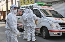 韩国证实在大邱市的越南公民确诊新冠肺炎的信息