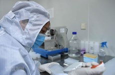越南新增一例新冠肺炎确诊病例 累计确诊32例