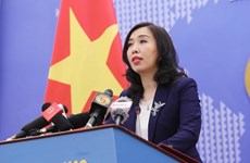 越南外交部发言人就举行东盟峰会一事答记者问