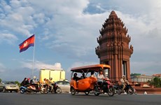  新冠肺炎疫情：柬埔寨努力应对疫情  泰国死亡病例为3例