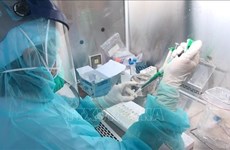 清化省新冠肺炎病毒分子生物学检测系统正式投入运行