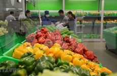 泰国对越南蔬果的需求巨大