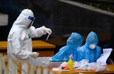 法国媒体：越南是抗击疫情中最值得称赞的国家