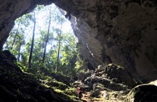 广平省新发现未被踏足的12个洞穴