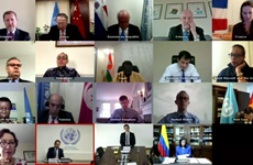 越南出席联合国安理会召开关于叙利亚化学武器问题的会议