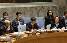 越南尽早完成联合国安理会轮值主席国任期报告