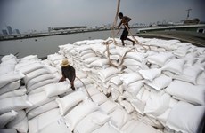 2019-2020上半财年缅甸大米和碎米出口量超过164万吨