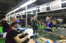 新冠肺炎疫情：胡志明市努力帮助企业恢复生产经营正常秩序 