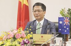 越南与澳大利亚讨论新冠肺炎疫情过后的贸易投资合作