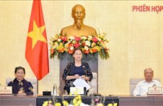 越南第十四届国会第九次会议公告