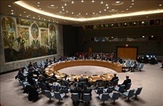 联合国安理会就委内瑞拉局势召开视频会议  越南支持进行对话寻找长期和平解决方案
