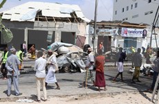 越南支持联合国援助驻索马里特派团在索马里开展的活动