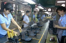 越南皮鞋和箱包生产企业努力寻找新的出口机遇